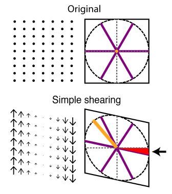 Schematic illustration of shearing forces
