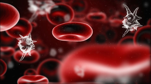 Blood Infecion. Photo: Istock