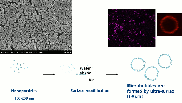 Illustration: Microbubbles (right) stabilized by nanoparticles (left). The nanoparticles form a shell at the microbubble surface