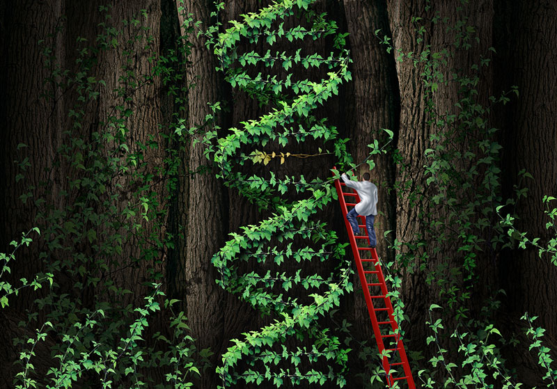 Grafikk: Mann på stige, som klatrer opp en plante formet som et DNA-molekyl.
